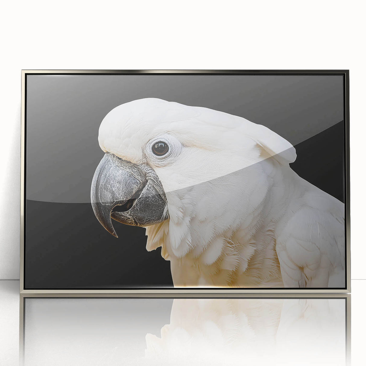 Framed wall art featuring a vibrant parrot design, elegantly displayed in a sleek silver frame, adding a touch of color and nature-inspired decor to any space.