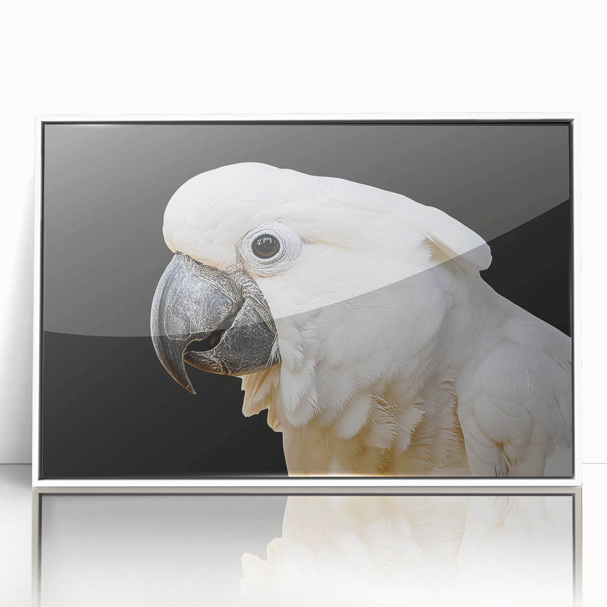 Framed wall art featuring a vibrant collection of colorful parrots, designed with intricate details on a white background, perfect for adding a lively touch to any space.
