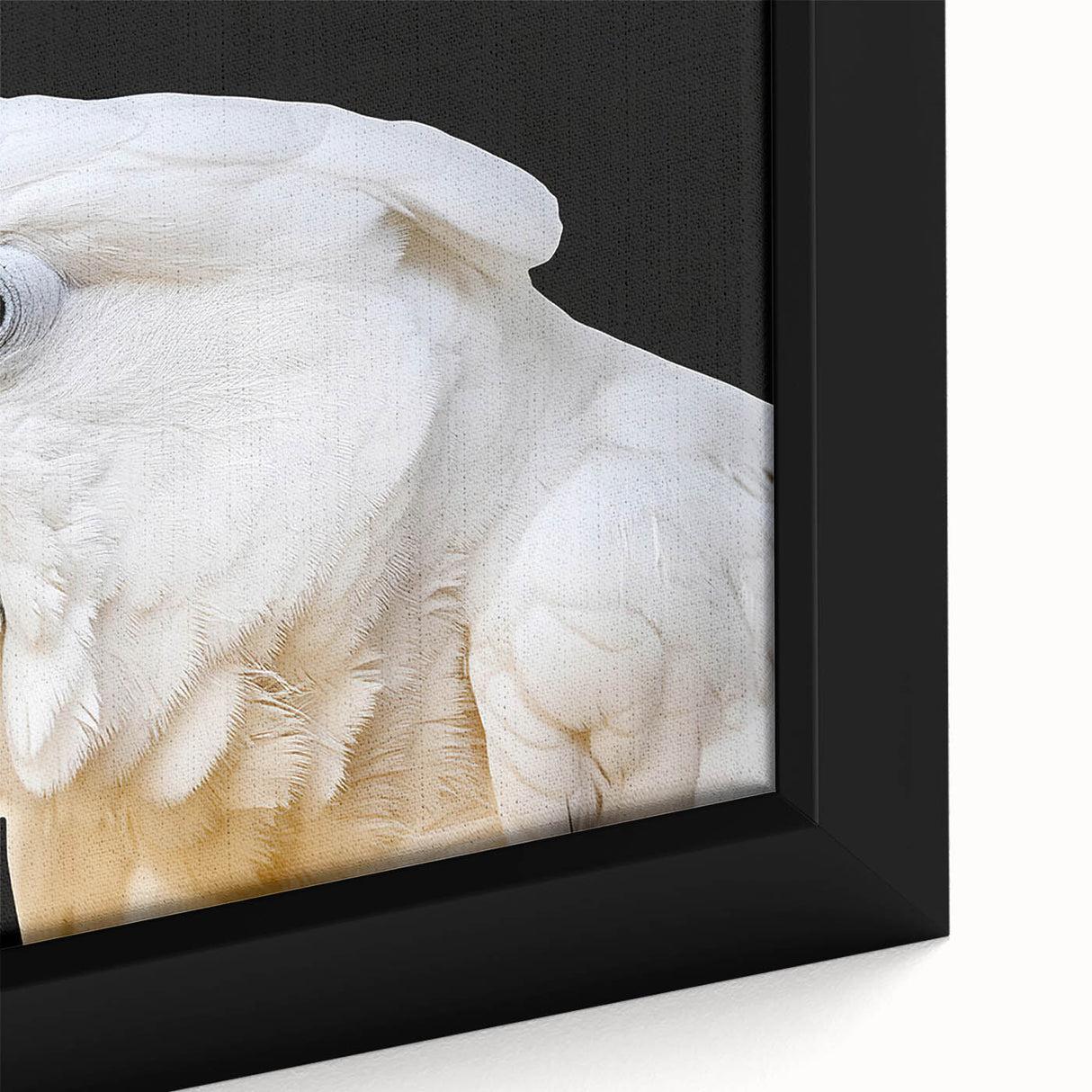 Close-up of a vibrant framed canvas wall art featuring colorful parrots and exotic birds, showcasing intricate details and vivid colors in a tropical setting. Perfect for adding a lively touch to home decor.