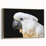 Framed wall art showcasing a vibrant design of colorful parrots on a gold background, perfect for adding a tropical touch to home decor.