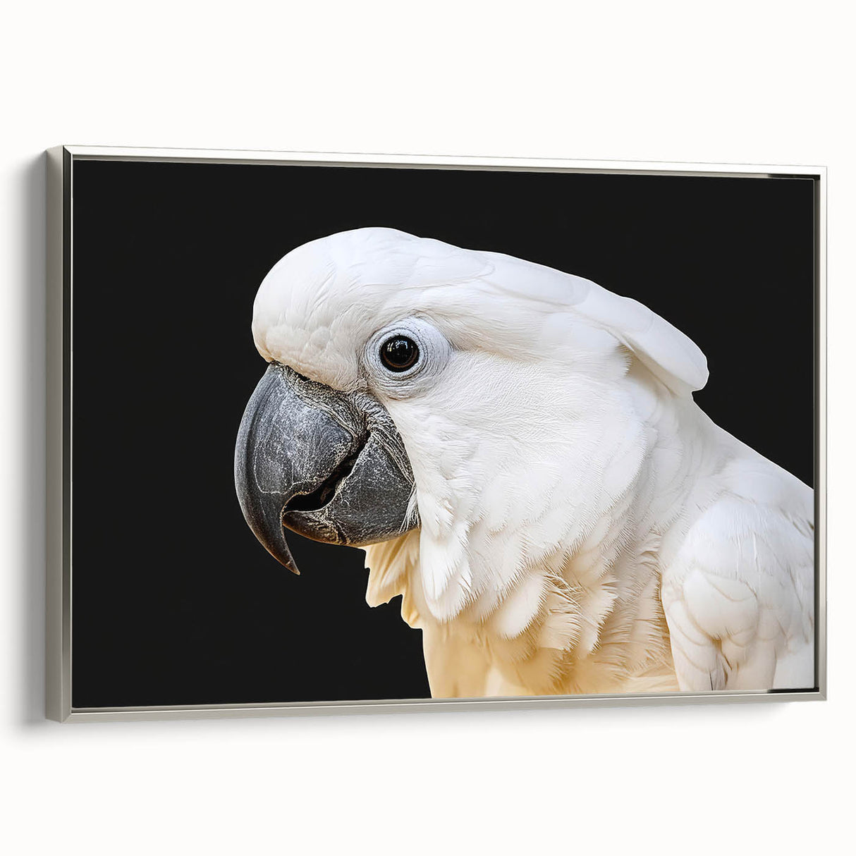 Framed wall art featuring a vibrant collection of parrot designs, showcasing colorful feathers and intricate details, displayed in a sleek silver frame.