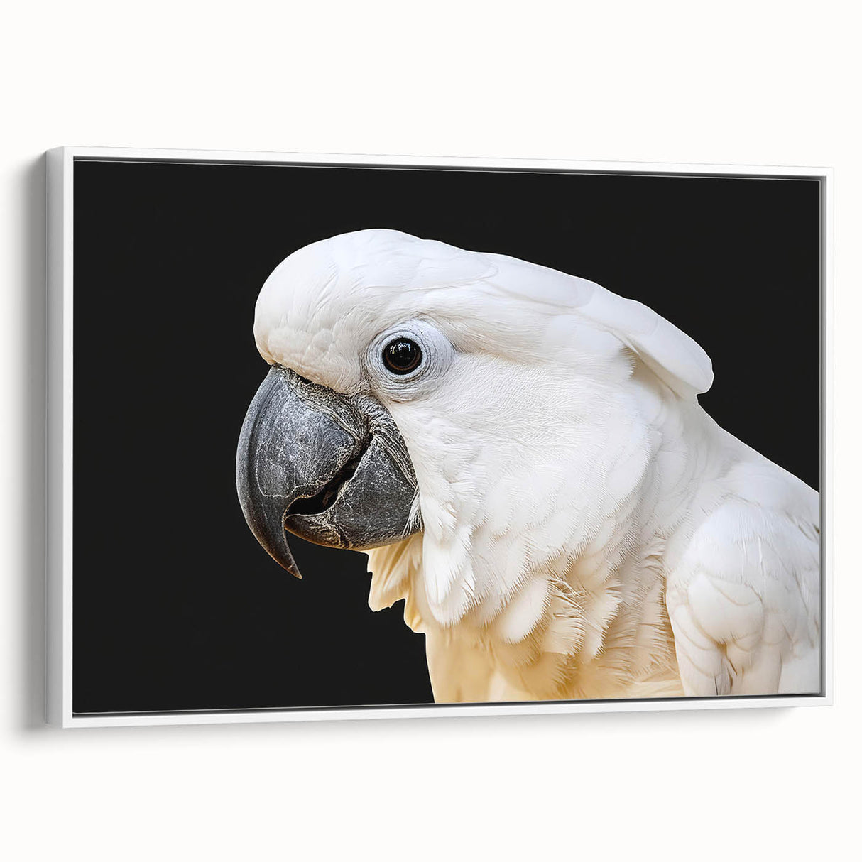 Framed canvas wall art showcasing a vibrant collection of colorful parrots in a minimalist white frame, ideal for enhancing modern home decor. The artwork features intricate details and a lively design, perfect for bird lovers and nature enthusiasts.