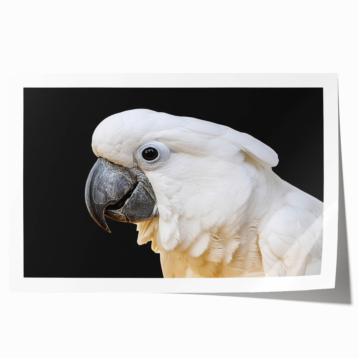 Colorful wall art featuring a design of various parrots perched on branches, printed on high-quality paper for vibrant colors, ideal for tropical-themed decor.