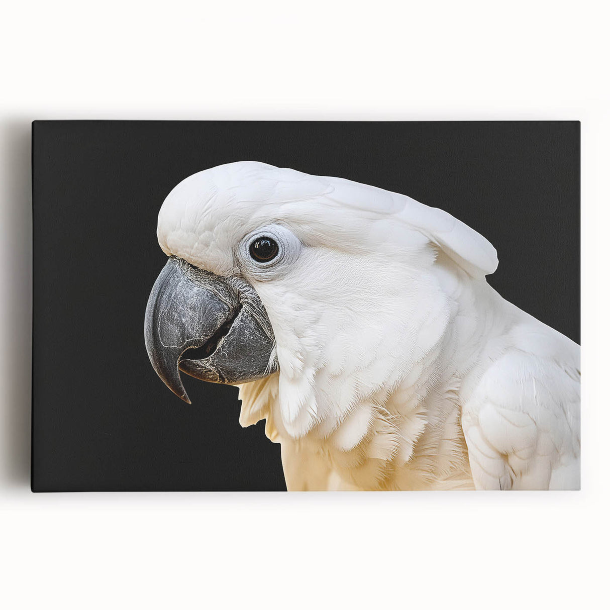 Vibrant stretched canvas wall art showcasing a colorful parrot design, perfect for adding a tropical touch to any room decor, enhancing artistic ambiance.