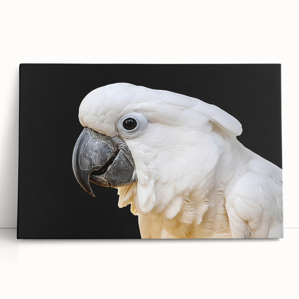 Vibrant stretched canvas wall art featuring a colorful parrot design, showcasing intricate details and vivid colors, perfect for enhancing any living space.