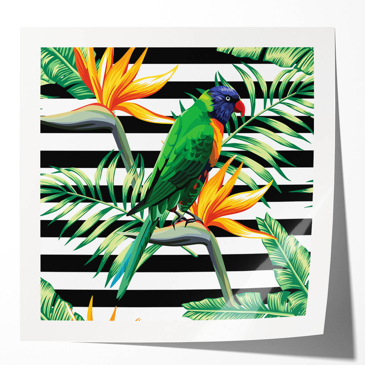 Vibrant wall art collection featuring various colorful parrot designs on a glossy finish, perfect for adding a tropical touch to home decor.