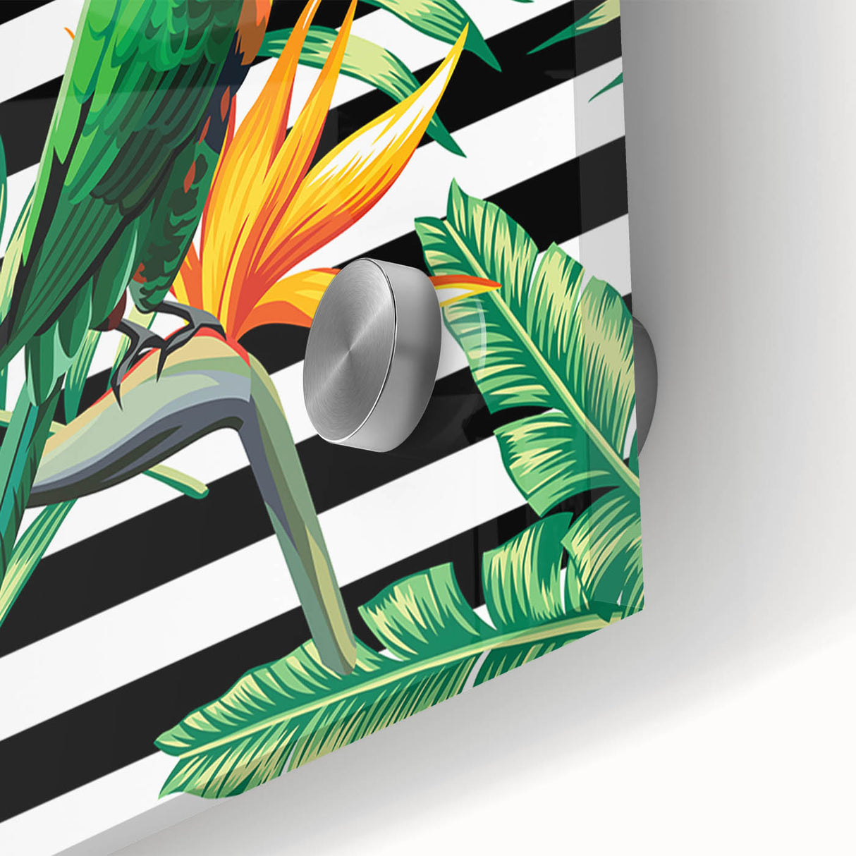 Vibrant acrylic glass wall art showcasing a colorful close-up design of tropical birds and parrots, perfect for adding a lively touch to any modern decor.