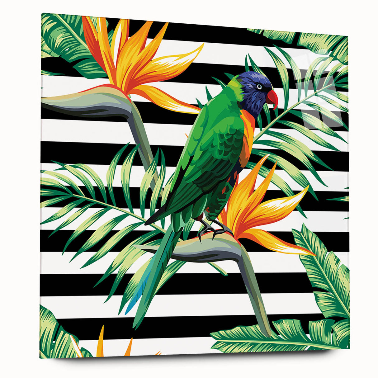 Colorful acrylic wall art collection showcasing a side view of parrot designs, featuring intricate details and vibrant hues, ideal for home decor.