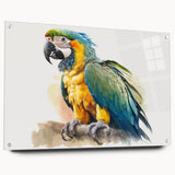 Colorful acrylic wall art design featuring a vibrant collection of parrots, displayed in a side view with decorative pins, perfect for enhancing interior decor with a tropical theme.