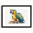 Framed wall art collection showcasing vibrant birds and parrots design, featuring a sleek black frame and mat, perfect for adding a colorful touch to any living space.