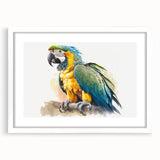 Framed wall art displaying a vibrant parrot design, featuring bright colors and intricate details, set against a white mat and frame, ideal for home decor.
