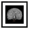 Framed wall art featuring an intricate peacock design, showcasing vibrant colors against a sleek black mat, ideal for modern home decor and art enthusiasts.