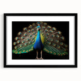 Peacock-themed wall art design in a sleek black frame, showcasing vibrant colors and intricate details, perfect for enhancing modern interior decor.