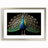Framed wall art featuring an elegant peacock design with intricate details and a silver frame, ideal for home decor and enhancing interior aesthetics.