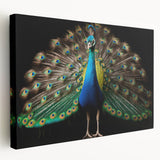 Vibrant peacock design stretched canvas wall art showcasing rich blues and greens, ideal for adding elegance and color to any home decor.