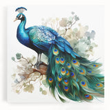 Vibrant peacock design stretched canvas wall art, showcasing intricate feather details in rich blues and greens, perfect for enhancing any living space decor.