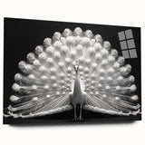 Colorful peacock design wall art displayed in an acrylic glass frame, showcasing intricate details and vibrant hues, perfect for modern home décor.