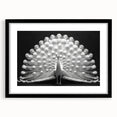 Elegant black-framed wall art featuring a vibrant peacock design, ideal for home decor. The intricate details and bold colors enhance any living space, making it a stunning focal point. Perfect for adding a touch of nature-inspired elegance to your walls.