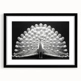 Elegant black-framed wall art featuring a vibrant peacock design, ideal for home decor. The intricate details and bold colors enhance any living space, making it a stunning focal point. Perfect for adding a touch of nature-inspired elegance to your walls.