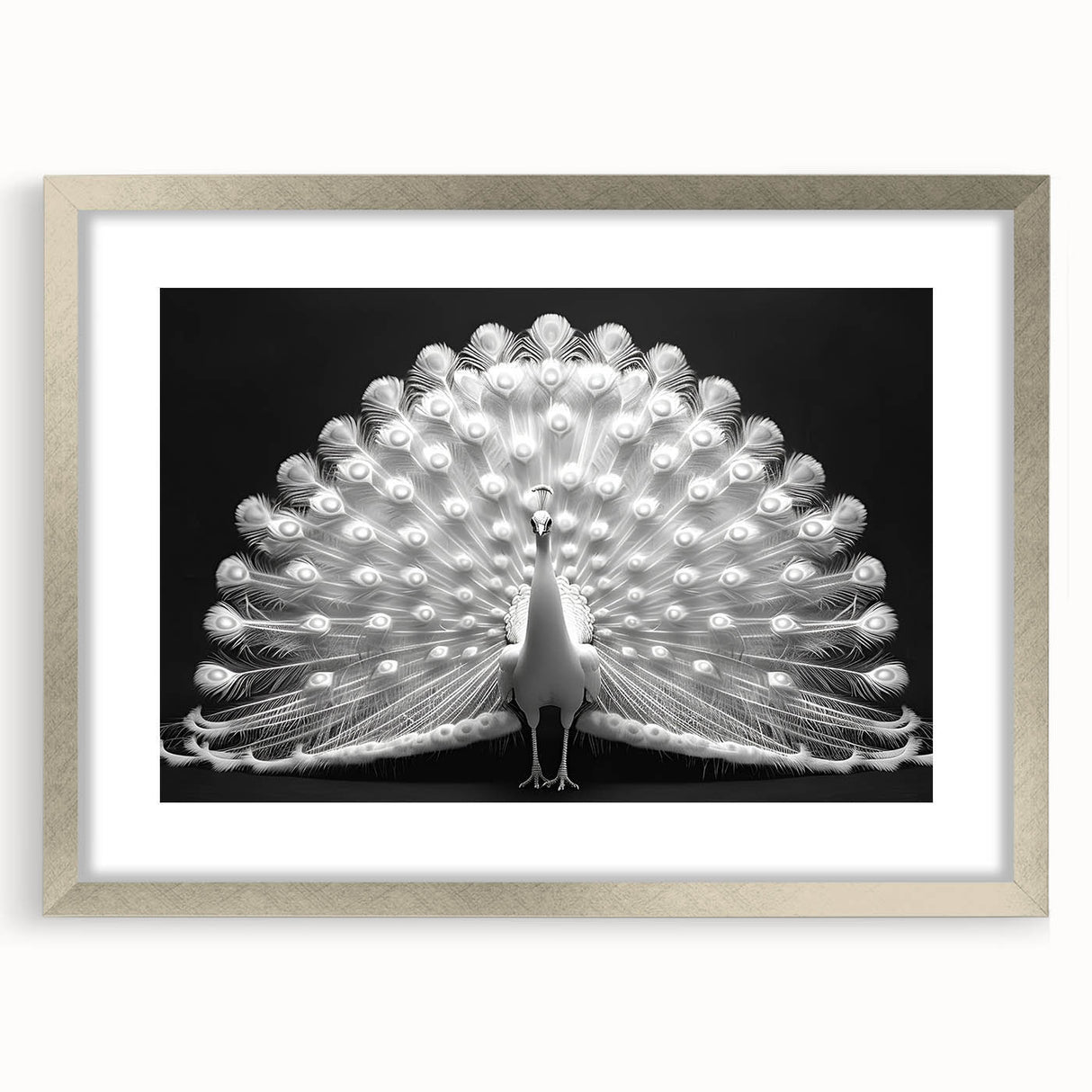 Peacock design wall art collection framed in silver with matting, showcasing vibrant colors and intricate details, ideal for enhancing home decor sophistication.