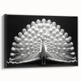 Framed wall art featuring an elegant peacock design in vibrant colors on a textured canvas, showcased from a black side view, ideal for home decor enhancement.