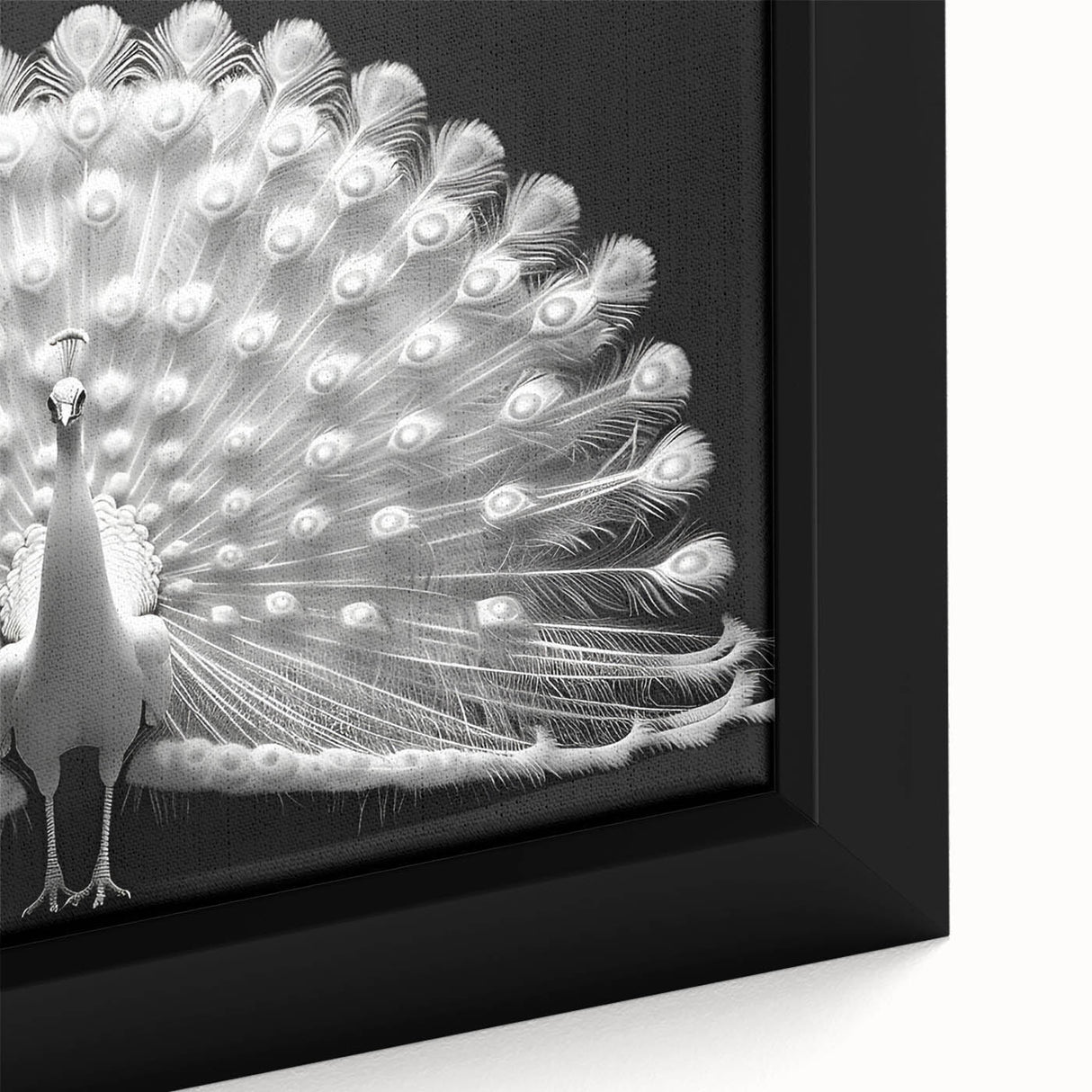 Close-up of a vibrant peacock design on a framed canvas wall art piece, showcasing intricate details and rich colors, perfect for enhancing home decor.