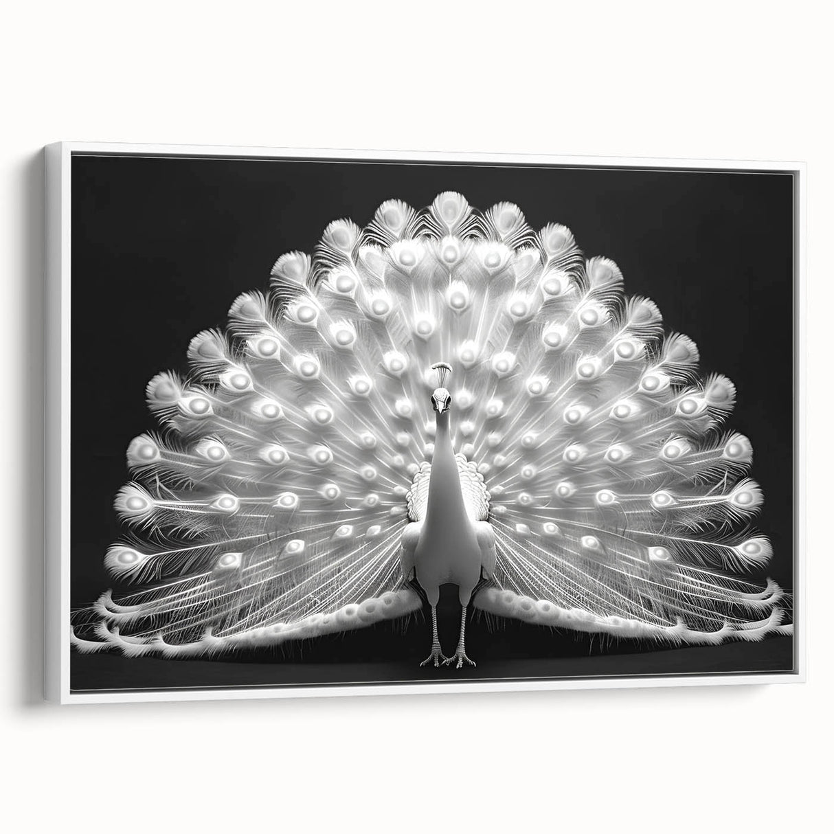 Framed canvas wall art featuring an elegant peacock design in vibrant colors, set against a white background, perfect for enhancing modern home decor.