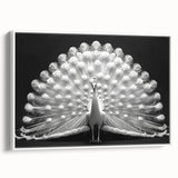 Framed canvas wall art featuring an elegant peacock design in vibrant colors, set against a white background, perfect for enhancing modern home decor.