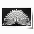 Vibrant peacock design wall art print showcasing intricate feather details and vivid colors, perfect for enhancing home decor. Ideal for art enthusiasts seeking unique styles.