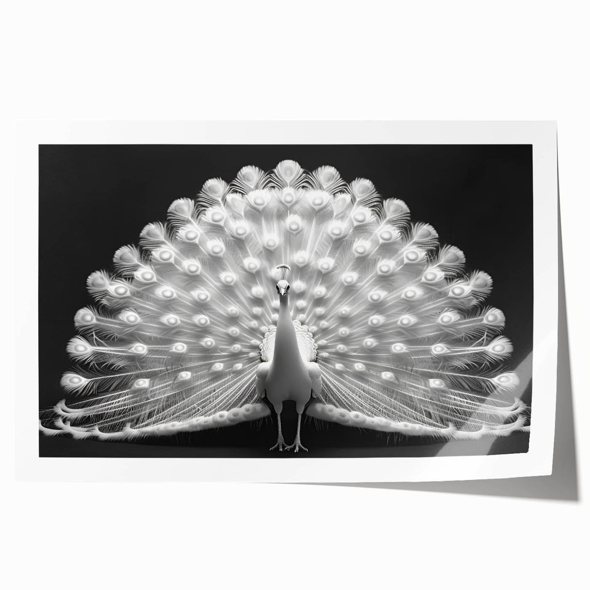 Vibrant peacock design wall art print showcasing intricate feather details and vivid colors, perfect for enhancing home decor. Ideal for art enthusiasts seeking unique styles.