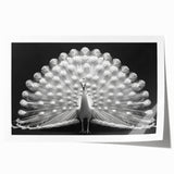 Vibrant peacock design wall art print showcasing intricate feather details and vivid colors, perfect for enhancing home decor. Ideal for art enthusiasts seeking unique styles.