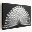 Vibrant peacock design wall art on stretched canvas, showcasing intricate feather details in shades of blue and green, perfect for adding elegance to home decor.