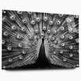 Elegant peacock design wall art made of acrylic and glass, showcasing vibrant colors and intricate details, displayed in a side view with decorative pins. Perfect for adding a touch of sophistication to any room's decor.