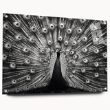 Elegant peacock design wall art made of acrylic and glass, showcasing vibrant colors and intricate details, displayed in a side view with decorative pins. Perfect for adding a touch of sophistication to any room's decor.