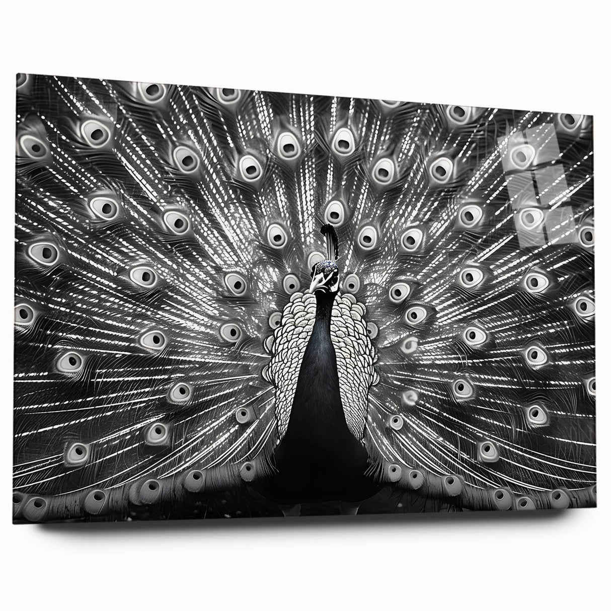Colorful peacock design wall art collection displayed in a side view, crafted from acrylic glass, showcasing vibrant hues and intricate details without pins. Perfect for enhancing modern decor.