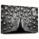 Colorful peacock design wall art collection displayed in a side view, crafted from acrylic glass, showcasing vibrant hues and intricate details without pins. Perfect for enhancing modern decor.