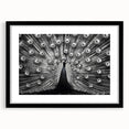 Peacock design wall art framed in black, showcasing vibrant colors and intricate patterns, ideal for enhancing modern home decor aesthetics.