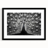 Peacock design wall art framed in black, showcasing vibrant colors and intricate patterns, ideal for enhancing modern home decor aesthetics.