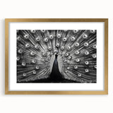 Elegant wall art featuring a peacock design in vibrant colors, framed in gold with a white mat, perfect for enhancing home decor aesthetics.