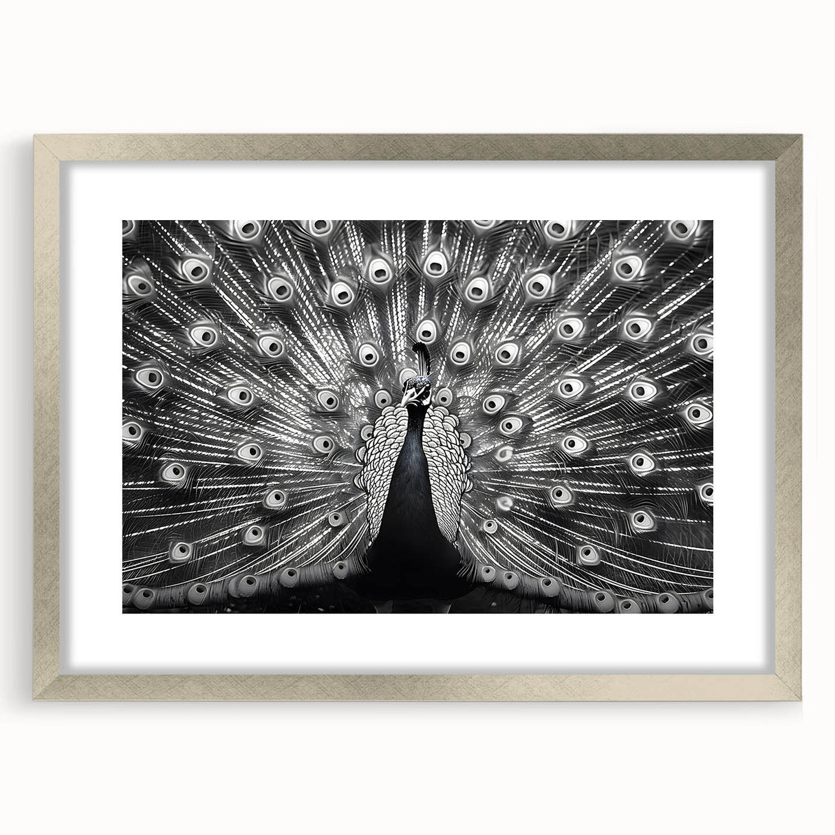 Framed wall art featuring an elegant peacock design with intricate details in vibrant colors, set in a sleek silver frame with a mat, perfect for enhancing home decor.