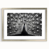 Framed wall art featuring an elegant peacock design with intricate details in vibrant colors, set in a sleek silver frame with a mat, perfect for enhancing home decor.