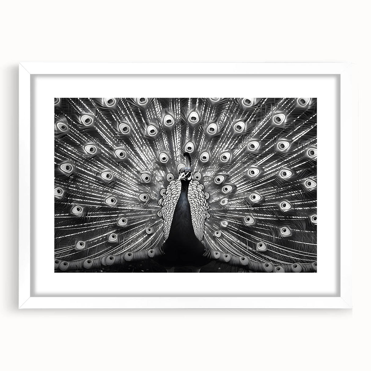 Peacock design wall art framed with a white mat, showcasing vibrant colors and intricate details, perfect for enhancing home decor and adding elegance.