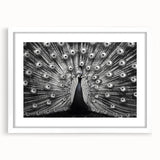 Peacock design wall art framed with a white mat, showcasing vibrant colors and intricate details, perfect for enhancing home decor and adding elegance.