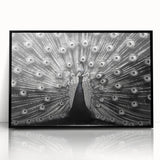 Framed wall art featuring an elegant peacock design in vibrant colors, set against a sleek black background, perfect for adding a touch of sophistication to home decor. Ideal for nature enthusiasts and art lovers alike.