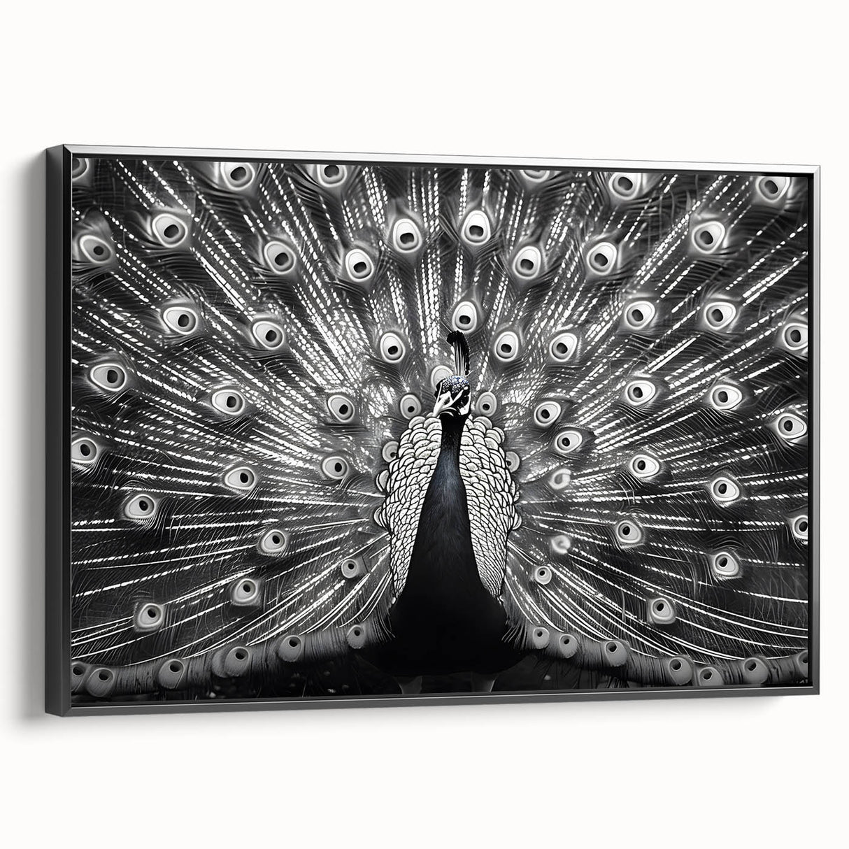Framed canvas wall art showcasing a vibrant peacock design with intricate detailing, set against a sleek black frame, ideal for modern home decor.