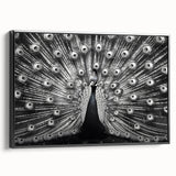 Framed canvas wall art showcasing a vibrant peacock design with intricate detailing, set against a sleek black frame, ideal for modern home decor.
