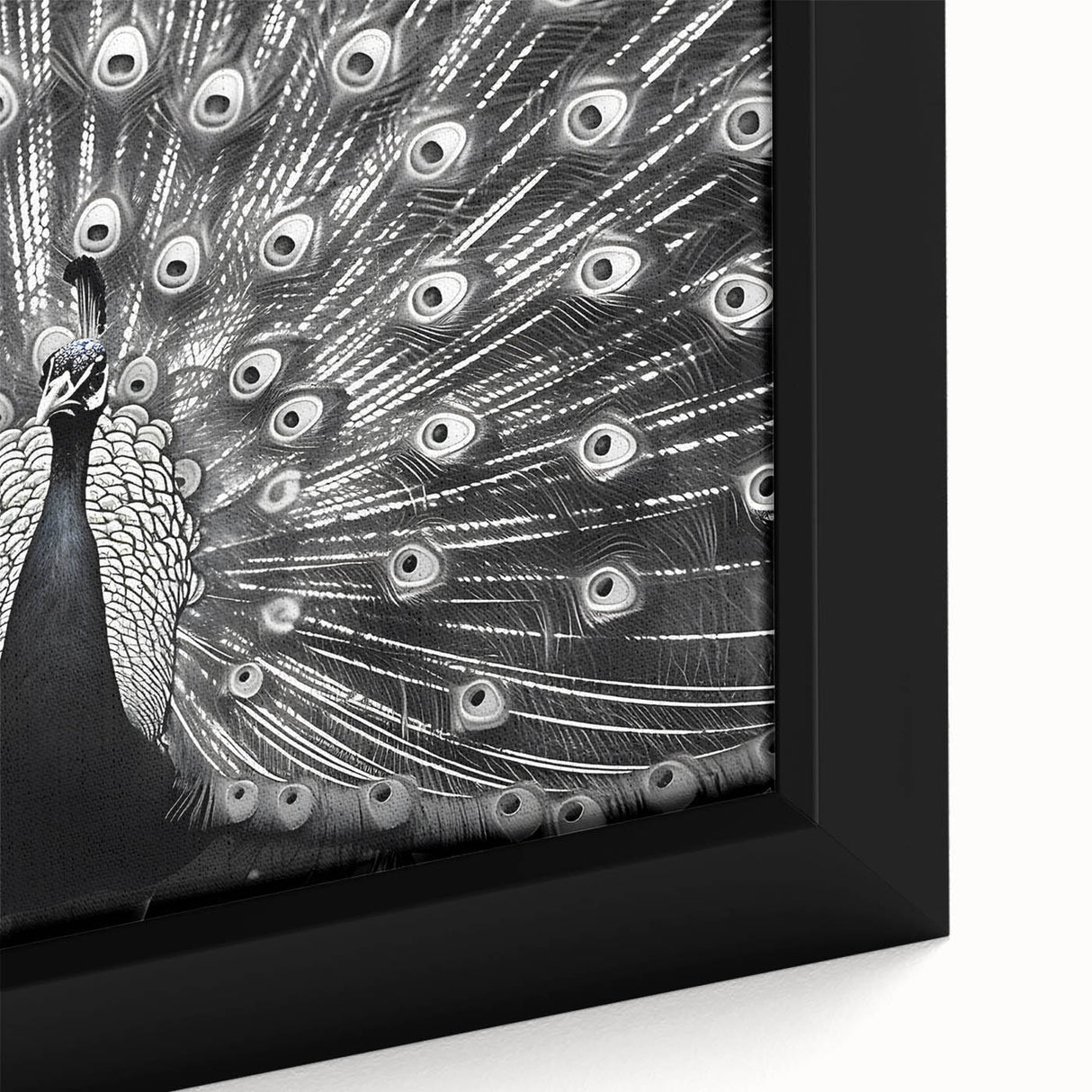 Close-up of a vibrant, framed canvas featuring a peacock design, showcasing intricate feather details and rich colors, perfect for enhancing home decor.