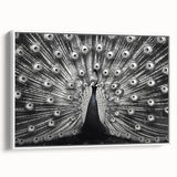 Framed canvas wall art showcasing a vibrant peacock design in rich blues and greens, set against a white background, perfect for adding elegance to any room decor.