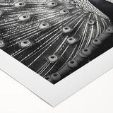 Vibrant peacock design on rolled canvas wall art, showcasing intricate feathers and rich colors, ideal for enhancing home decor and artistic spaces.