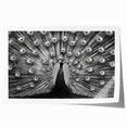 Vibrant rolled print of a peacock design wall art, showcasing intricate feather details and rich colors, perfect for home decor or art collection.